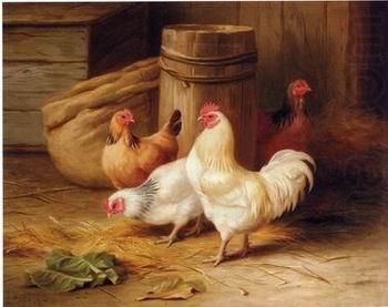 unknow artist Cock 187 china oil painting image